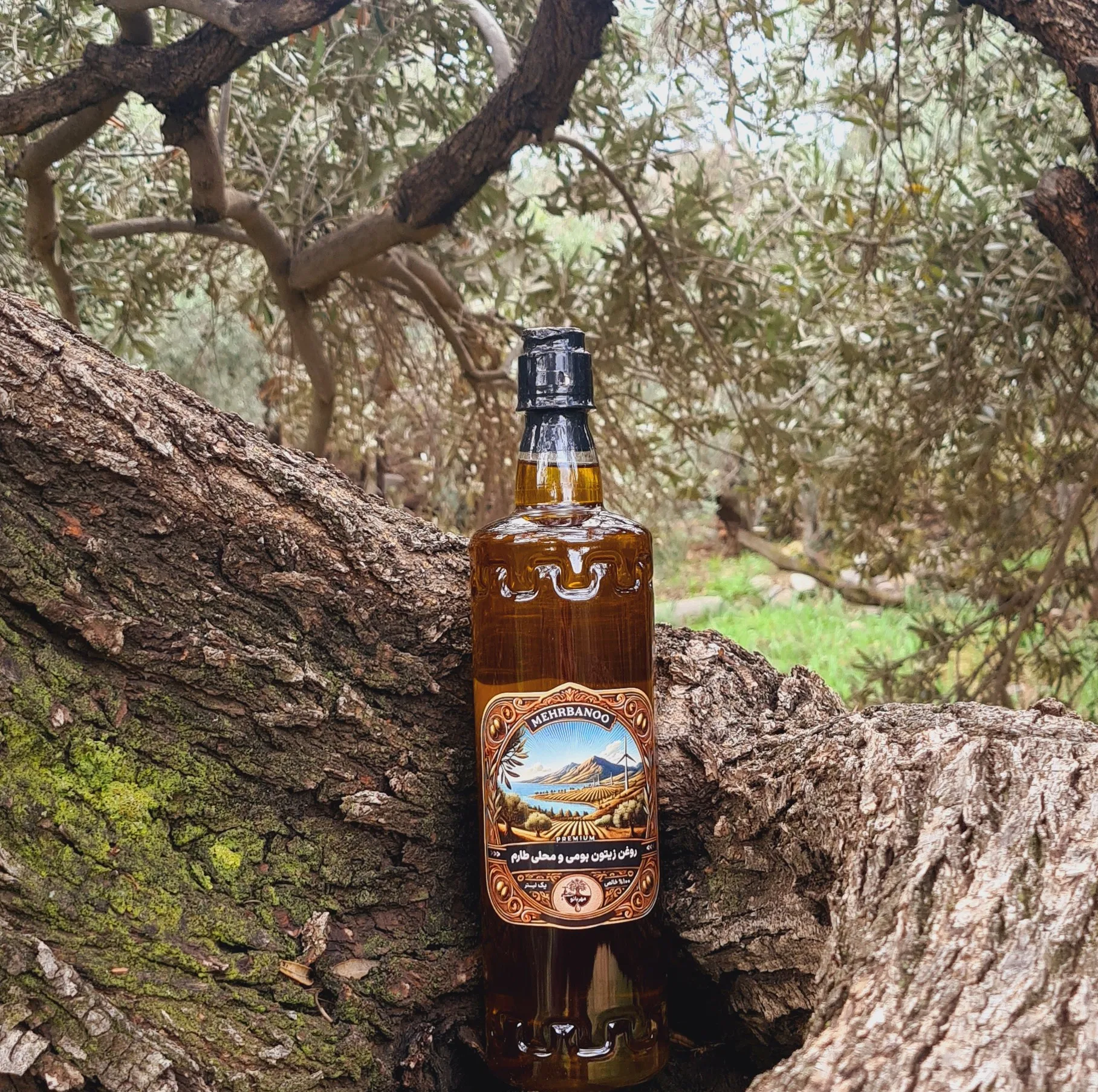 روغن زیتون فرابکر مهربانو - 950 گرم
