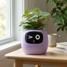 گلدان هوشمند مسدیو مدل smart Flowerpots