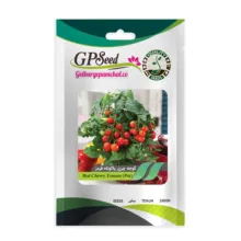 بذر صیفی جات گوجه گیلاسی و گوجه گلابی گلبرگ پامچال کد G-P-GP-012 مجموعه 12 عددی