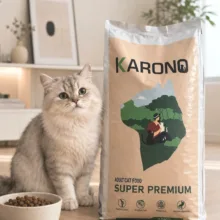 غذای حمایتی گربه بالغ کارونو مدل سوپرپریمیوم با طعم مرغ وزن 10 کیلوگرم