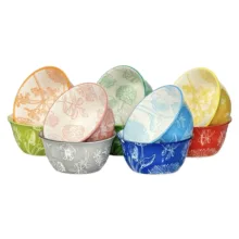 کاسه دنی هوم مدل آبرنگی بسته 10 عددی