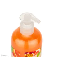 مایع دستشویی نارنجی صدفی اکتیو مدل Fruity series با رایحه پشن فروت حجم 450 میلی لیتر
