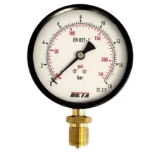 گیج فشار بتا مدل 16bar-10cm