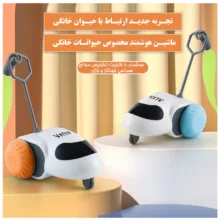 اسباب بازی هوشمند گربه مدل YC-DCT58