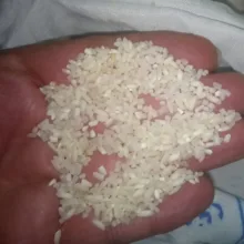 برنج لاشه عنبربو شوشتر - ۵ کیلوگرم