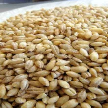 جو پوست کنده - 900 گرم
