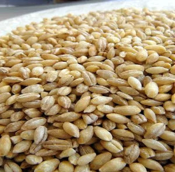 جو پوست کنده - 900 گرم