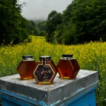 عسل طبیعی کوهستان فاخر ایرانی - 1 کیلوگرم