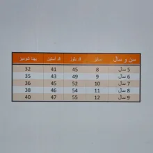 شومیز آستین بلند دخترانه مدل مجلسی