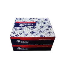 دیسک ترمز چرخ جلو عظام مدل EZ012 مناسب برای تیبا بسته 2 عددی