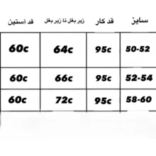 پالتو زنانه سی اند ای مدل Ce10000
