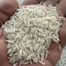برنج ندا بهاره زرین خوشه طبرستان - 10 کیلوگرم