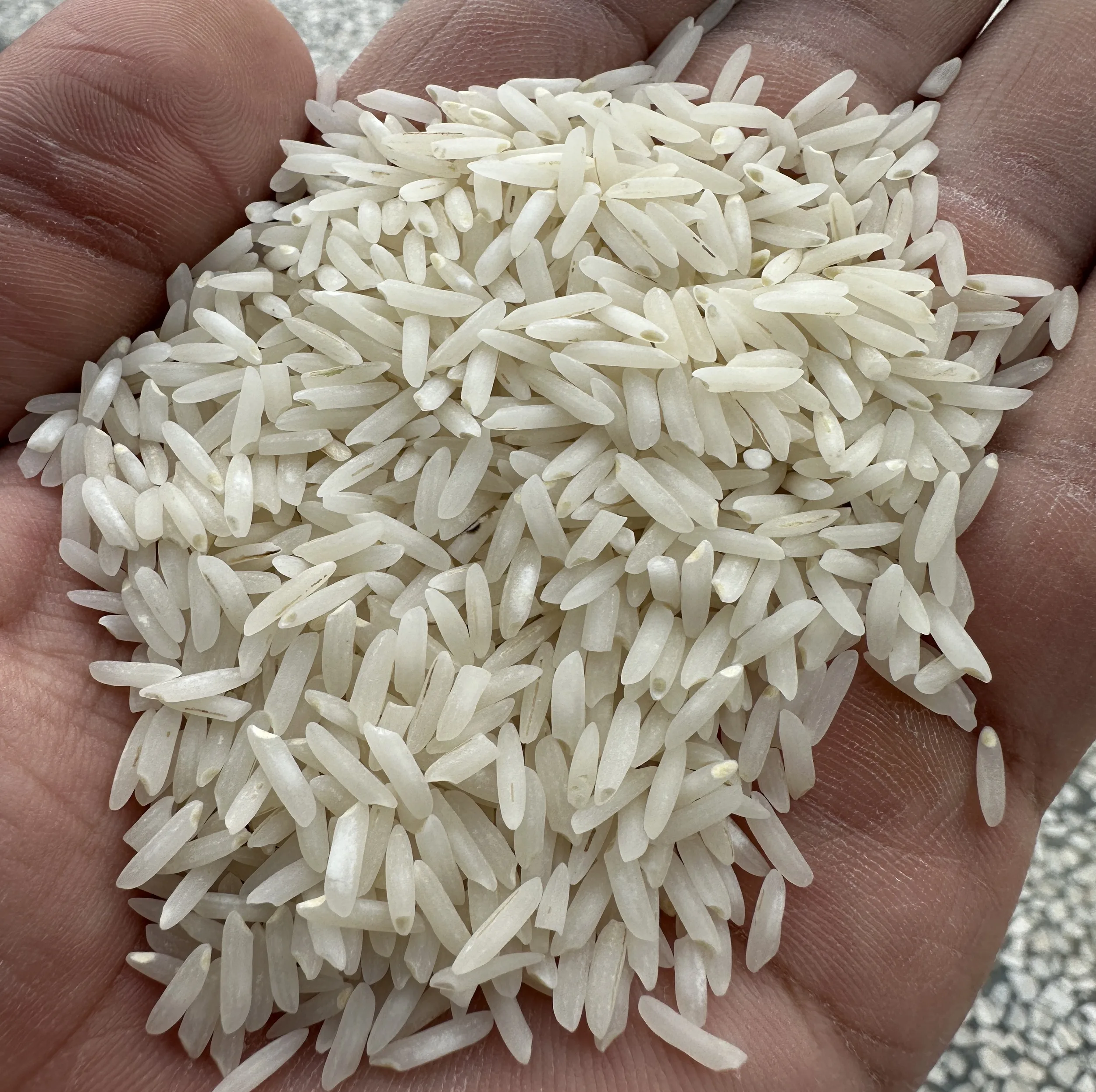برنج ندا بهاره زرین خوشه طبرستان - 10 کیلوگرم