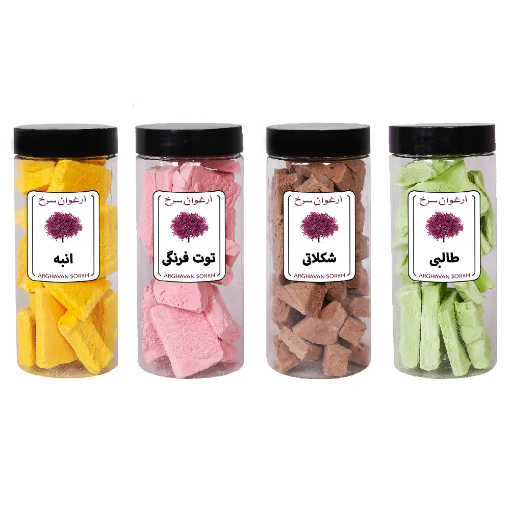 بستنی خشک طالبی ، شکلات ، توت فرنگی ، انبه ارغوان سرخ - 500 گرم بسته 4 عددی