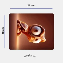 ست ماگ سرامیکی به همراه زیر لیوانی و پدماوس مدل لاک پشت کد 381