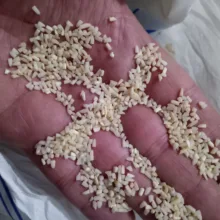برنج نیم دانه دودی گیلان نسل نورانی - ۱۰ کیلوگرم