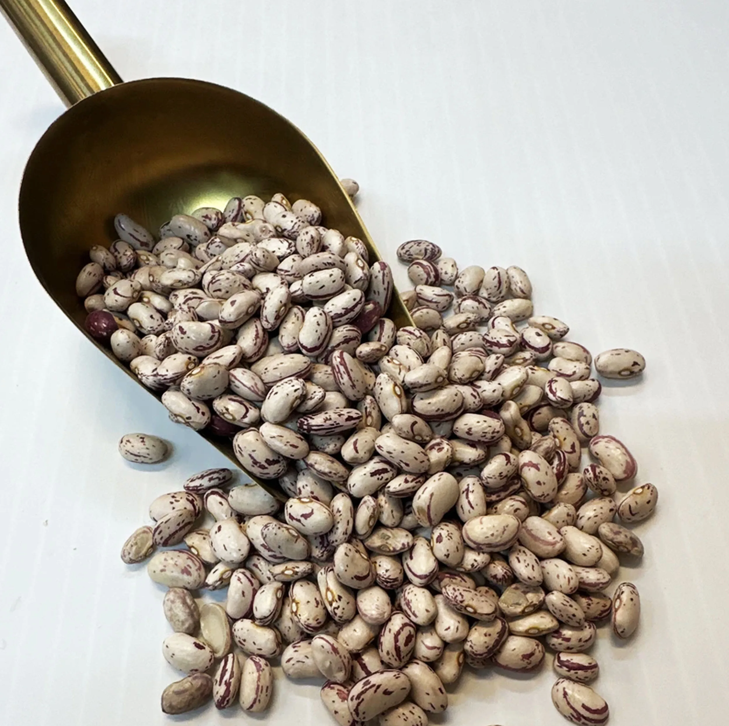 لوبیا چیتی اعتماد خوب - 900 گرم