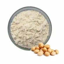 پودر پروتئین سویا - 250 گرم