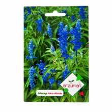 بذر گیاه دارویی مریم گلی برند آرزومان مدل SALVIA OFFICINALIS وزن 0.03 گرم