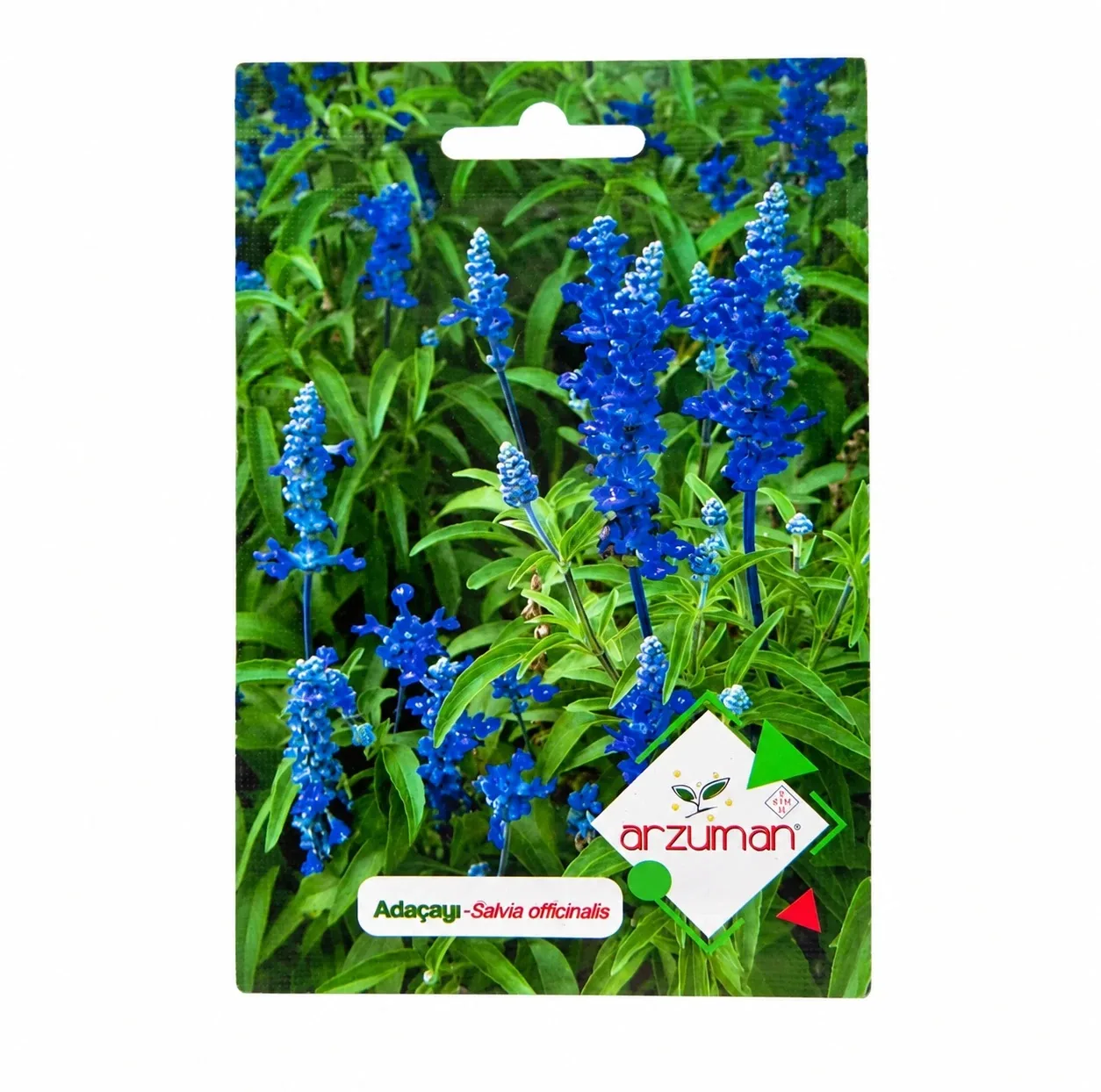 بذر گیاه دارویی مریم گلی برند آرزومان مدل SALVIA OFFICINALIS وزن 0.03 گرم