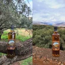 روغن زیتون فرابکر مهربانو - 950 گرم