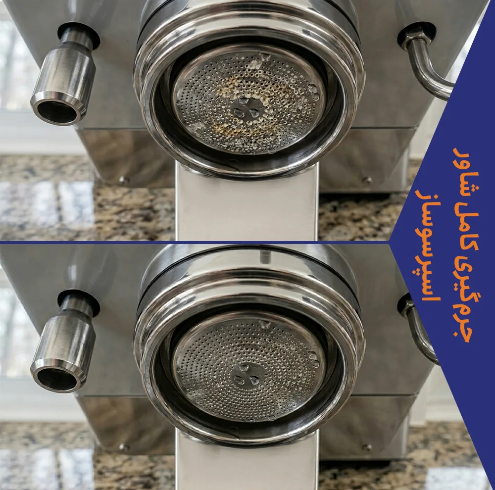 جرم گیر و رسوب زدا دستگاه اسپرسوساز خانگی گتر مدل دوقلو TwinClean 2X بسته پنج عددی