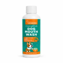 اسپری دهانشویه یگبونگ مدل mouthwash حجم 100 میلی‌لیتر