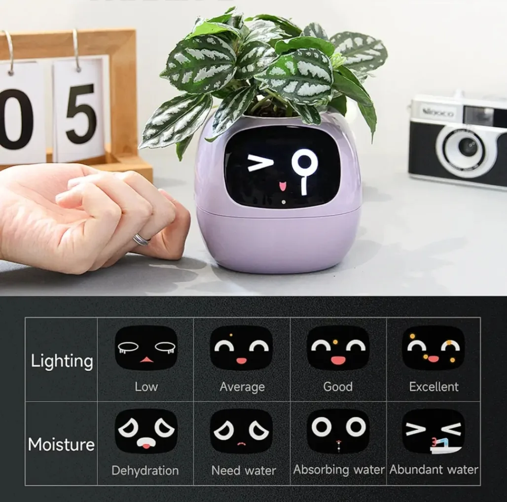 گلدان هوشمند مسدیو مدل smart Flowerpots