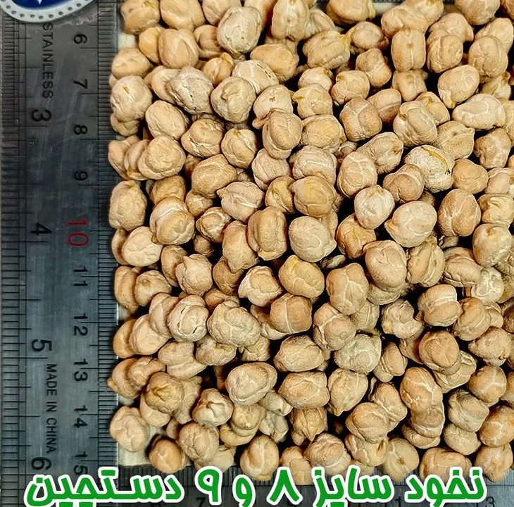 نخود دلاوران - 700 گرم