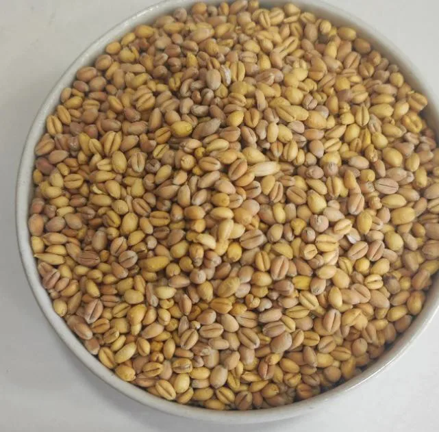 گندم برشته شمس - 1 کیلوگرم