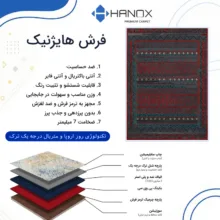 فرش ماشینی 1000 شانه هانوکس زمینه طوسی حاشیه چند رنگ مدل مراکشی کد L272