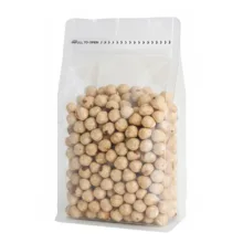 مغز فندق شور ایرانی – 500 گرم