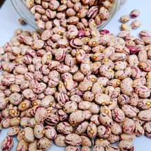 لوبیا چیتی اعلا فرنام - 750 گرم