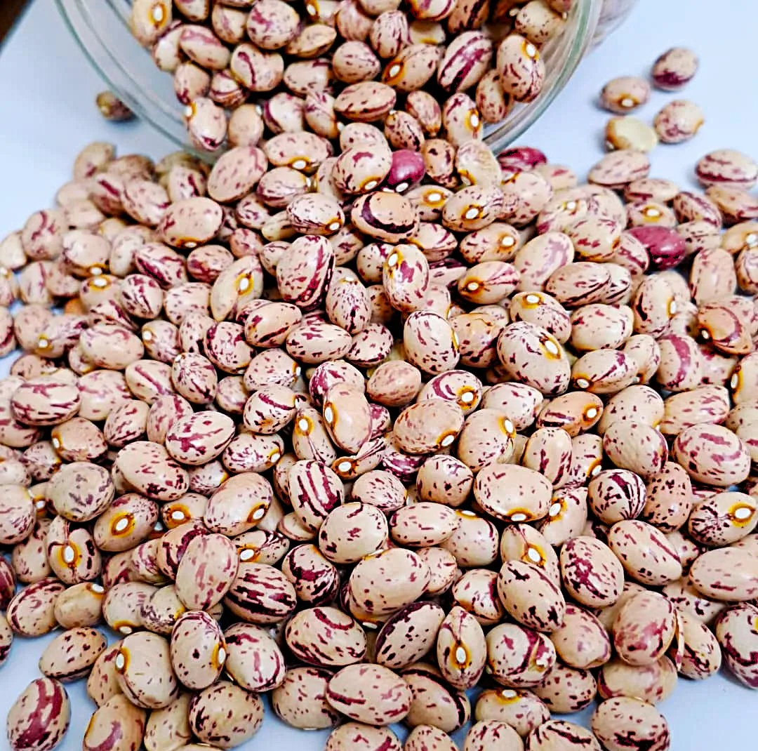 لوبیا چیتی اعلا فرنام - 750 گرم
