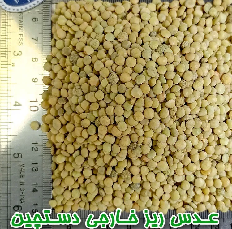 عدس ریز دلاوران - 700 گرم