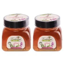 عسل طبیعی گون زاگرس رویال کندو کوهرنگ – 450 گرم بسته 2 عددی