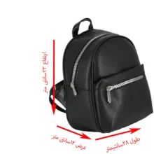 کوله پشتی دخترانه مدل nf00k