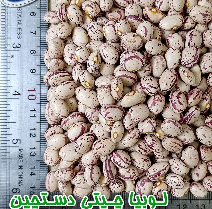 لوبیا چیتی دلاوران - 700 گرم