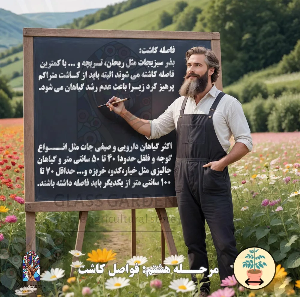 بذر کدو تنبل غول پیکر گلس گاردن مدل GL02