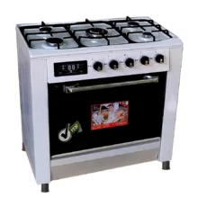 اجاق گاز 5 شعله دنپاسر مدل DEN901