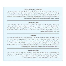 روغن حیوانی کرمانشاهی گوسفندی آرتیشو - 0.5 کیلوگرم