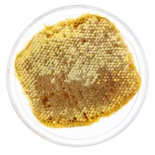 عسل طبیعی مومدار چنبره - 1500 گرم