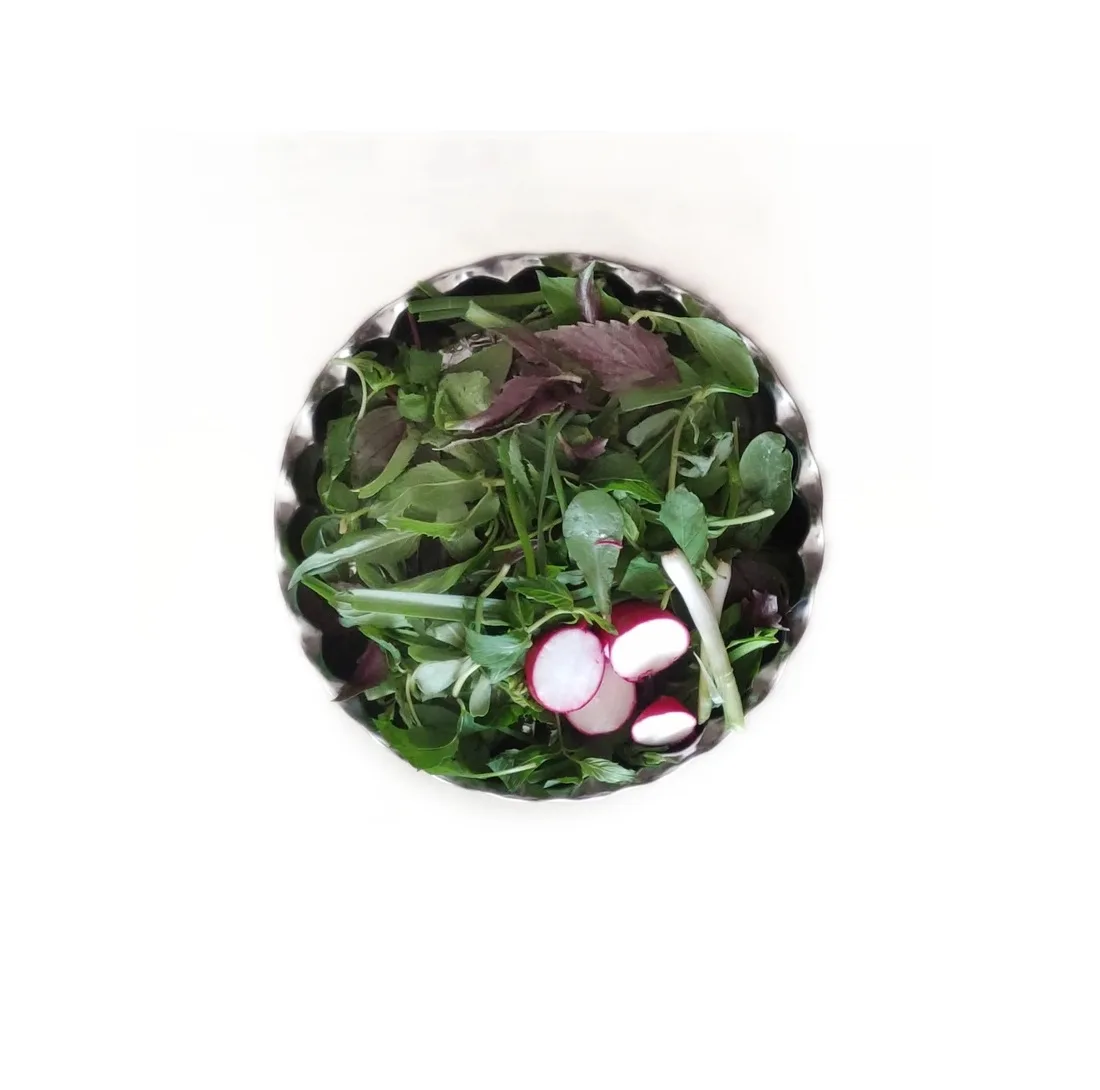 سینی مدل کنگره ای کد 1 مجموعه 6 عددی