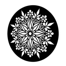 شابلون کد SP15201