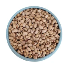 پسته کله قوچی درجه یک - 500 گرم