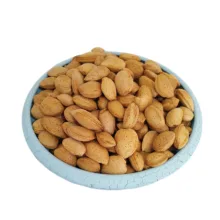 بادام سنگی - 1000 گرم