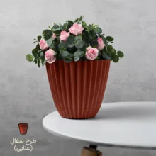 گلدان دانیال پلاستیک آذین مدل الماس 605 بسته 6 عددی
