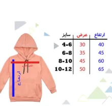هودی پسرانه مدل ریک و مورتی F156 رنگ گلبهی