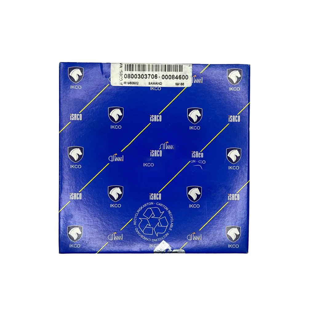 دسیک ترمز چرخ عقب ایساکو کد 5001 مناسب برای پژو 206 بسته 2 عددی