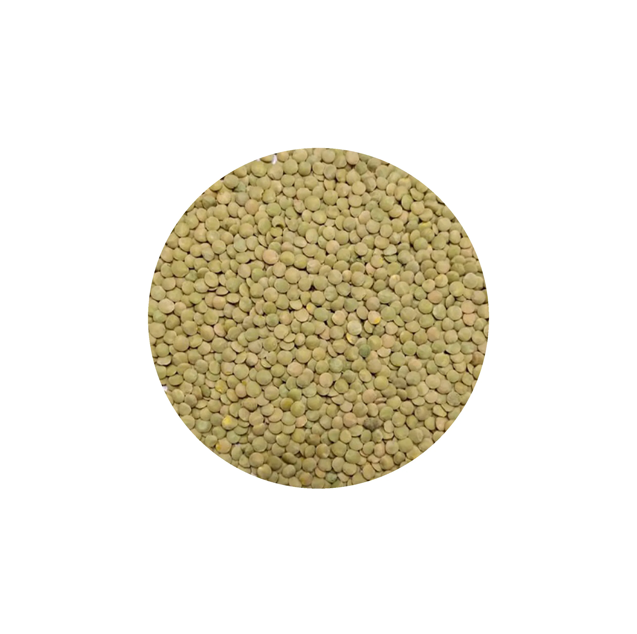 عدس ریز آشی دستچین کالا - 600 گرم
